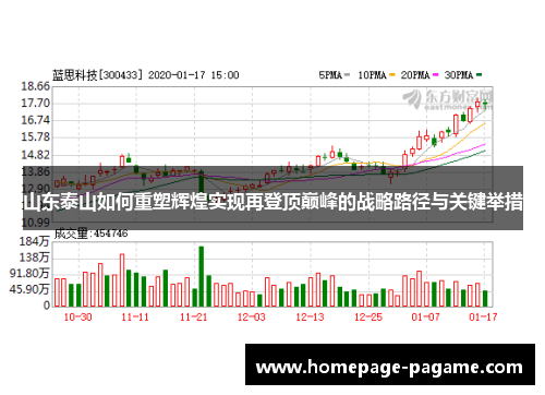 山东泰山如何重塑辉煌实现再登顶巅峰的战略路径与关键举措
