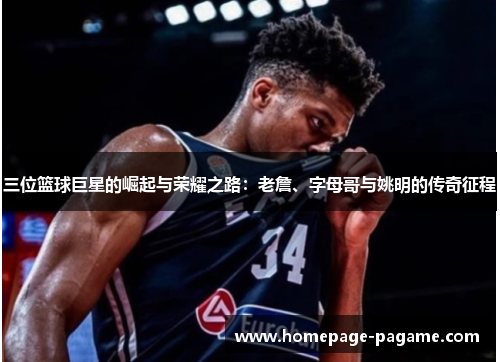 三位篮球巨星的崛起与荣耀之路：老詹、字母哥与姚明的传奇征程