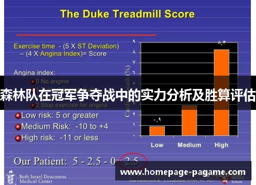 森林队在冠军争夺战中的实力分析及胜算评估