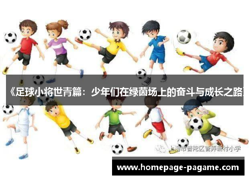《足球小将世青篇：少年们在绿茵场上的奋斗与成长之路》