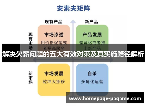 解决欠薪问题的五大有效对策及其实施路径解析