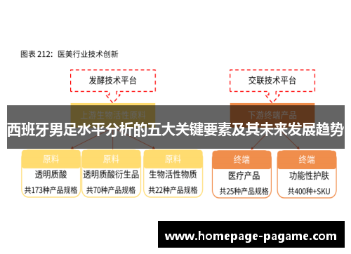 西班牙男足水平分析的五大关键要素及其未来发展趋势