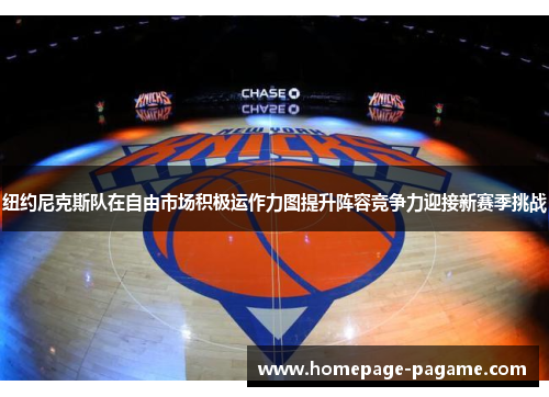 纽约尼克斯队在自由市场积极运作力图提升阵容竞争力迎接新赛季挑战 纽约尼克斯队在自由市场积极运作力图提升阵容竞争力迎接新赛季挑战